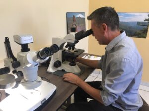 Licenciatura en Paleontología UCGS en Coahuila México