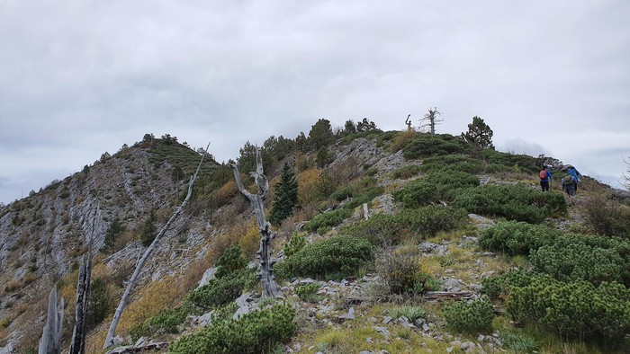 Excursión 20/OCTUBRE/2022