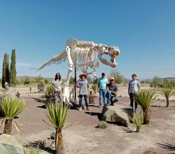 escuela-de-ciencias-y-licenciatura-paleontologia--saltillo-coahuila--107-