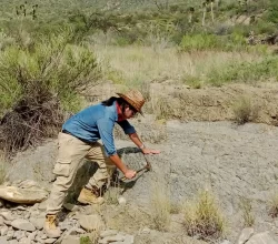 escuela-de-ciencias-y-licenciatura-paleontologia--saltillo-coahuila--14-