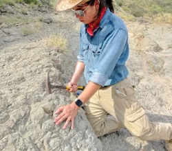 escuela-de-ciencias-y-licenciatura-paleontologia--saltillo-coahuila--24-