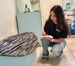 escuela-de-ciencias-y-licenciatura-paleontologia--saltillo-coahuila--58-