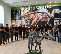 escuela-de-ciencias-y-licenciatura-paleontologia--saltillo-coahuila--63-