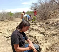 escuela-de-ciencias-y-licenciatura-paleontologia--saltillo-coahuila--69-