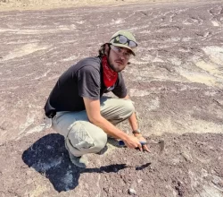 escuela-de-ciencias-y-licenciatura-paleontologia--saltillo-coahuila--80-