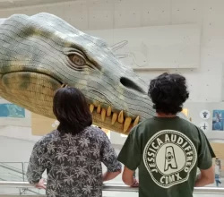 escuela-de-ciencias-y-licenciatura-paleontologia--saltillo-coahuila--85-